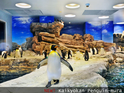 海響館ペンギン村