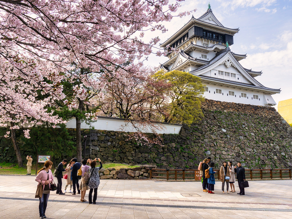 小倉城桜まつり